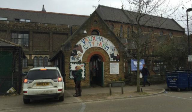 Vauxhall City Farm: A Surprising Oasis in London