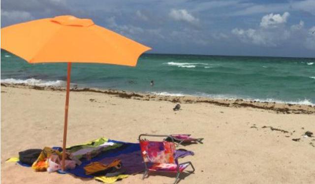 A Guide to Miami Beaches