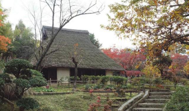 Museums and a Market in Osaka