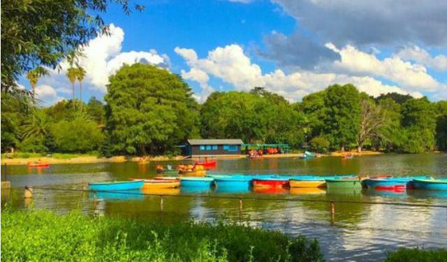 More than 50 Things to Do in Johannesburg