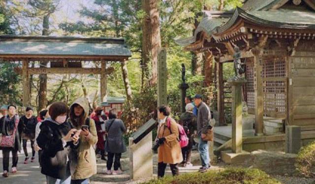 Escape the Urban Jungle of Tokyo, Go to Mount Takao