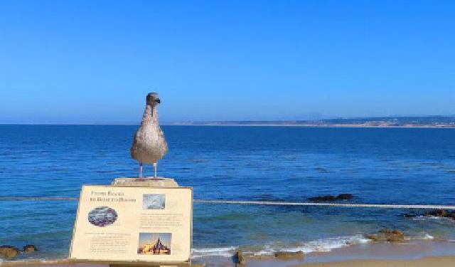 Historic Cannery Row, Monterey - Part 2