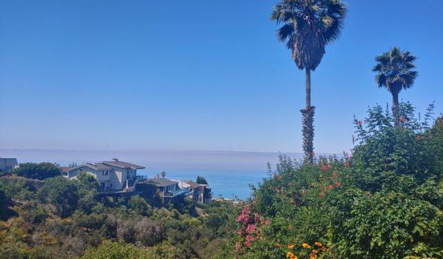 5 Reasons to Go to Laguna Beach