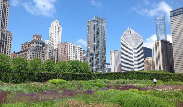 8 Outdoor Gardens to Visit in Chicago