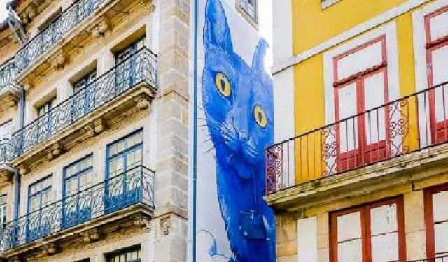 Spectacular Street Art in Porto, Portugal