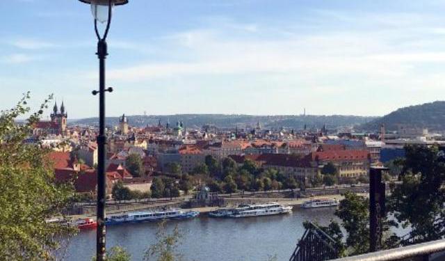 Traveling to Prague With a Dog