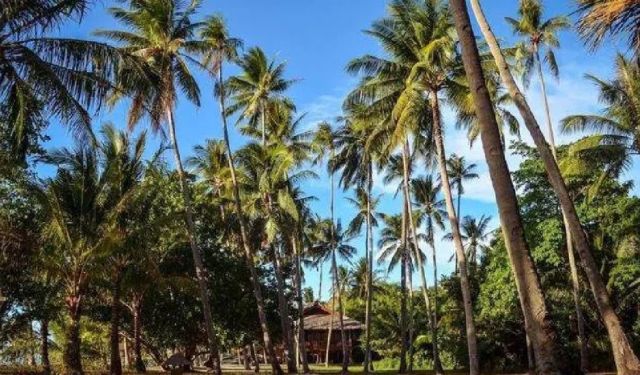 8 Top Things to Do in Puerto Galera with Your Family