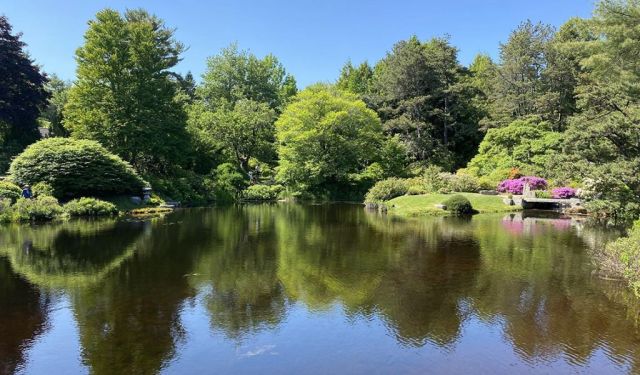 Exploring Downtown Bar Harbor in Maine