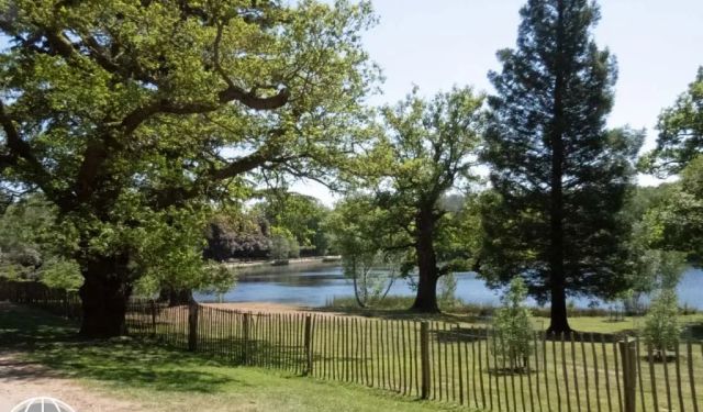 How to Visit Windsor Castle and Windsor Great Park