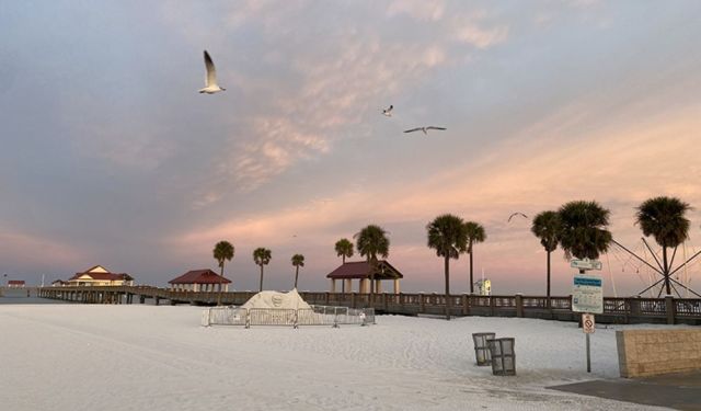 Free Things to Do in Clearwater, Florida