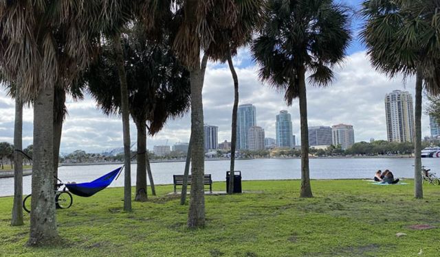 Fun Things to Do in St. Pete Florida