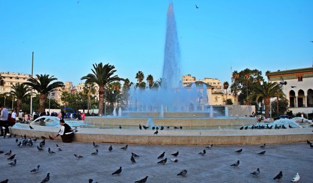 What to See in Casablanca