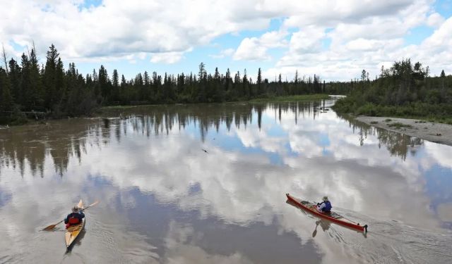 What to Do in Calgary this Summer