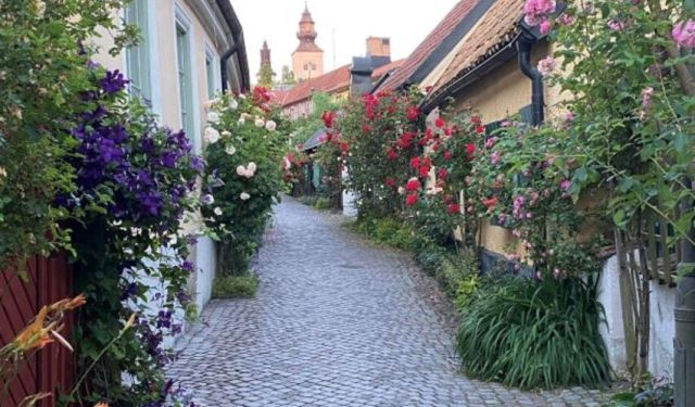 Discover Historical Gotland in the Stockholm Archipelago