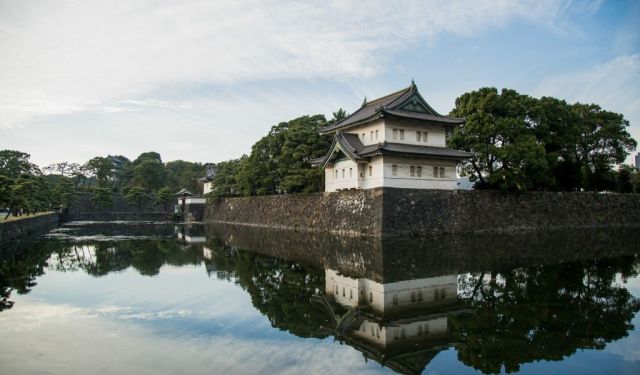 The Complete Siem Reap Vegan Travel