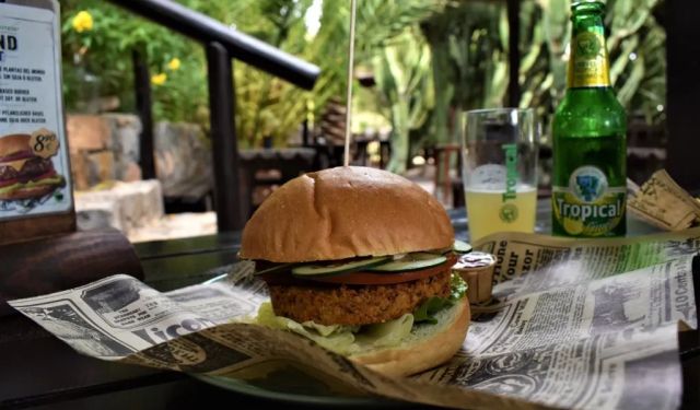 Fuerteventura Vegan Food Guide