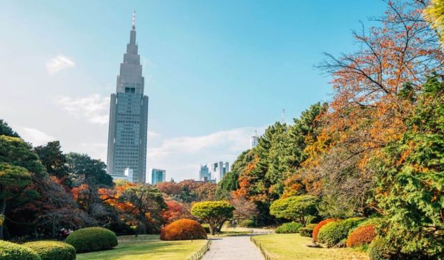 7 Days in Tokyo: First Timer Itinerary / Tokyo