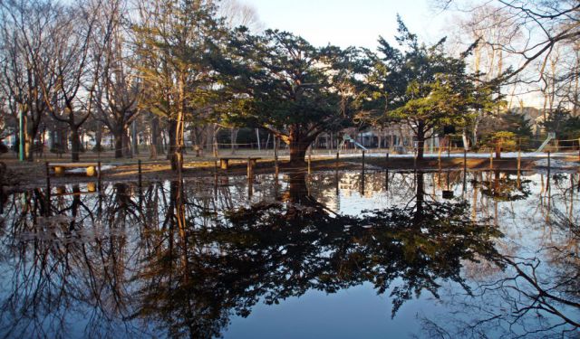 Hokkaido: An Arctic Asian Experience
