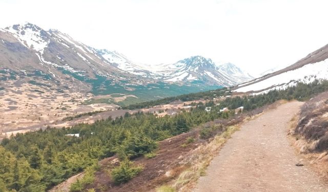 Unique Things to Do in Anchorage, Alaska