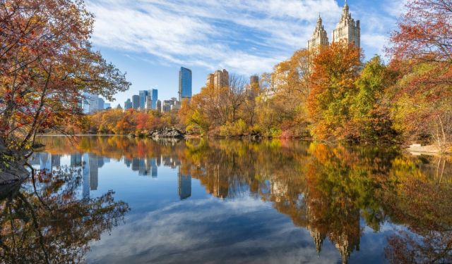 Ten Best Films Set in New York