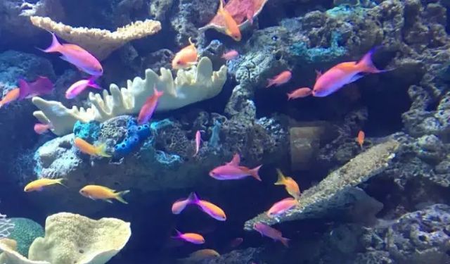 The Best Day Trip to Long Beach Itinerary