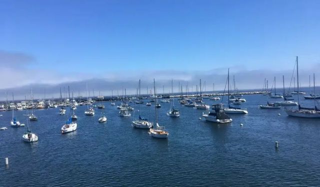 14 Best Things to Do on Cannery Row – Monterey, CA