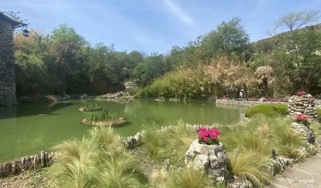 25 Fun Things to Do in San Antonio, Texas