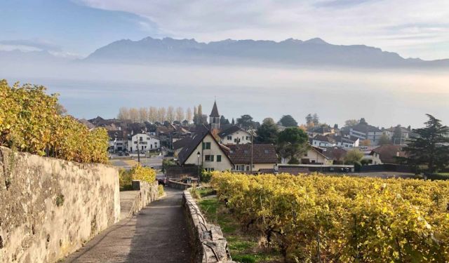 Lausanne: The Perfect City Break For Foodies and Wine Lovers
