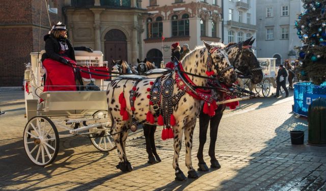 Things to Do in Krakow in Winter