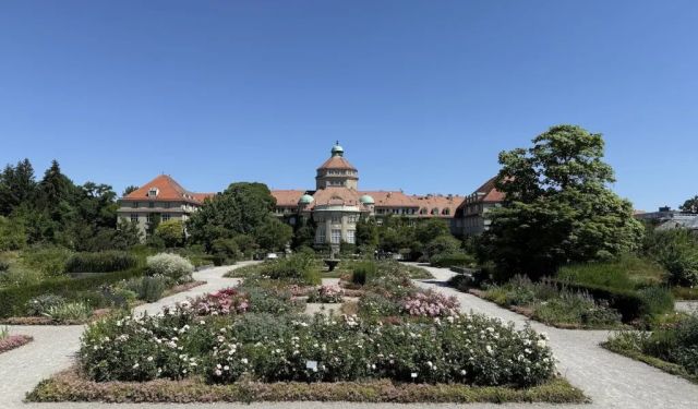 Getting to Know Munich in 3 Days