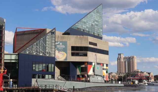 A Local’s Travel Guide to Baltimore, MD