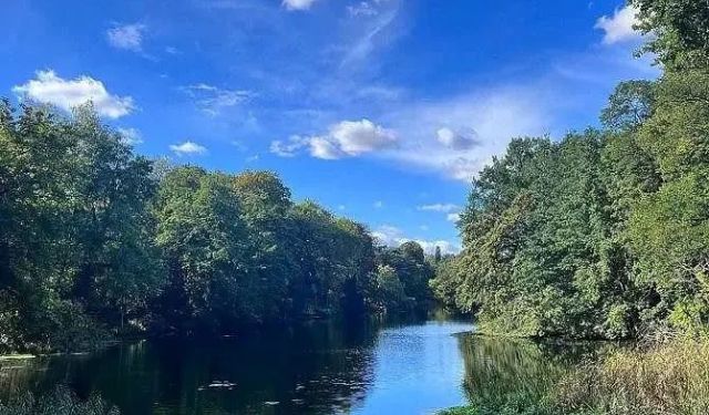 23 Awesome and Free Things to Do in Berlin This Summer