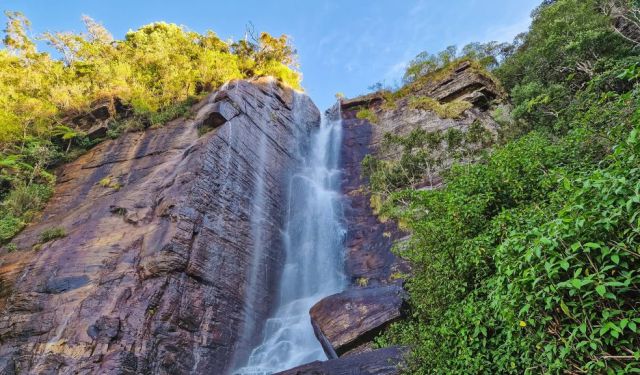 Nuwara Eliya Travel Guide: Top Things to Do