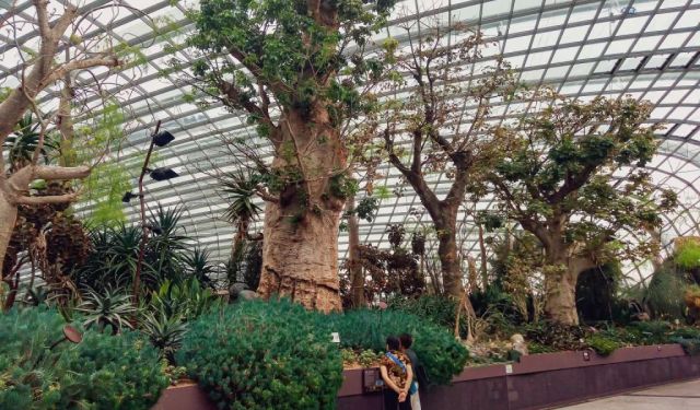 Monumental Highlights to Visit in Singapore