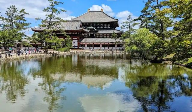 Explore Nara: A Day Trip from Osaka