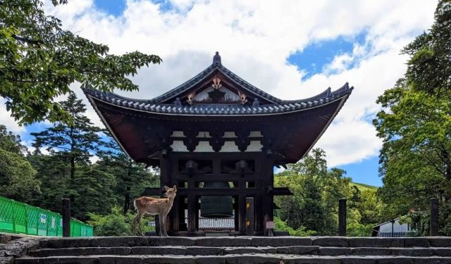 Kyoto Travel Guide: Temples, Teahouses, and Haunting History