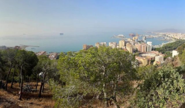 Malaga Beyond the Beach