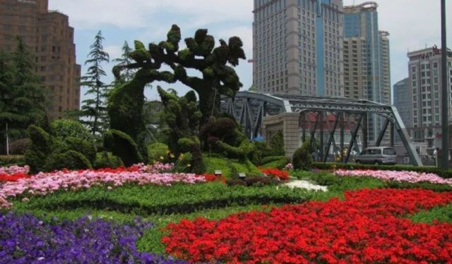 Travel Memories: Shanghai