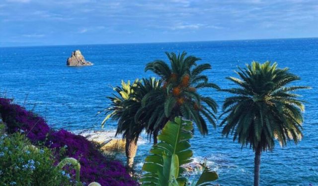 Madeira in Winter, a 4-Day Itinerary