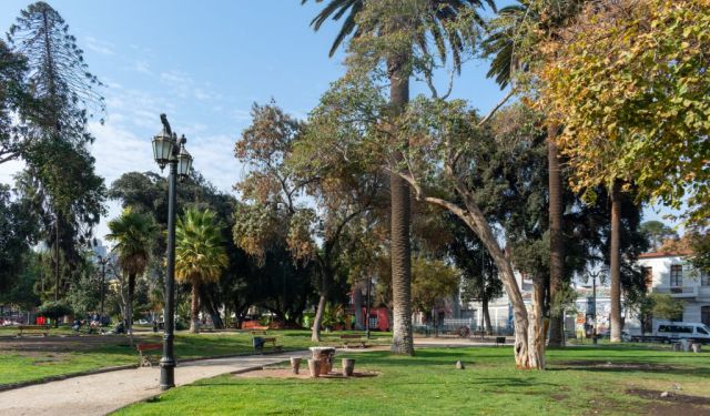 Barrio Brasil & Barrio Concha y Toro: Santiago’s Underrated