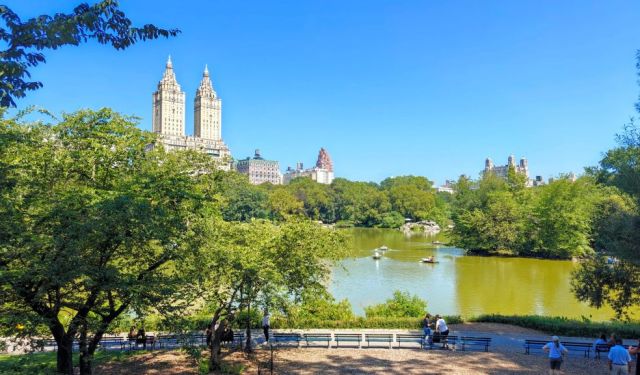 Exploring Central Park