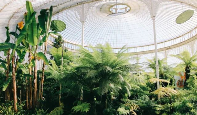 Glasgow: 10 Incredible Attractions and Places