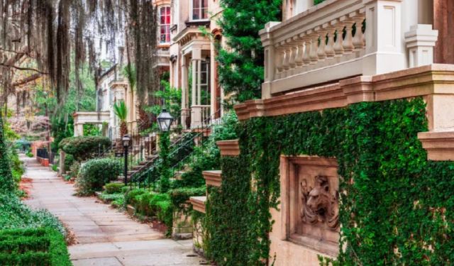 Falling for Savannah