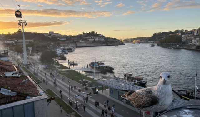 Two Perfect Days in Porto, Portugal