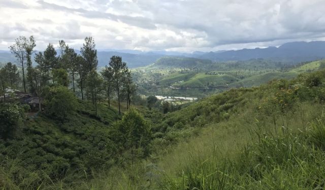 Nuwara Eliya: Tea, Trains & Colonial Charm