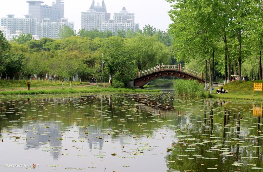 Thinking Green in Shanghai, Shanghai, China (B)