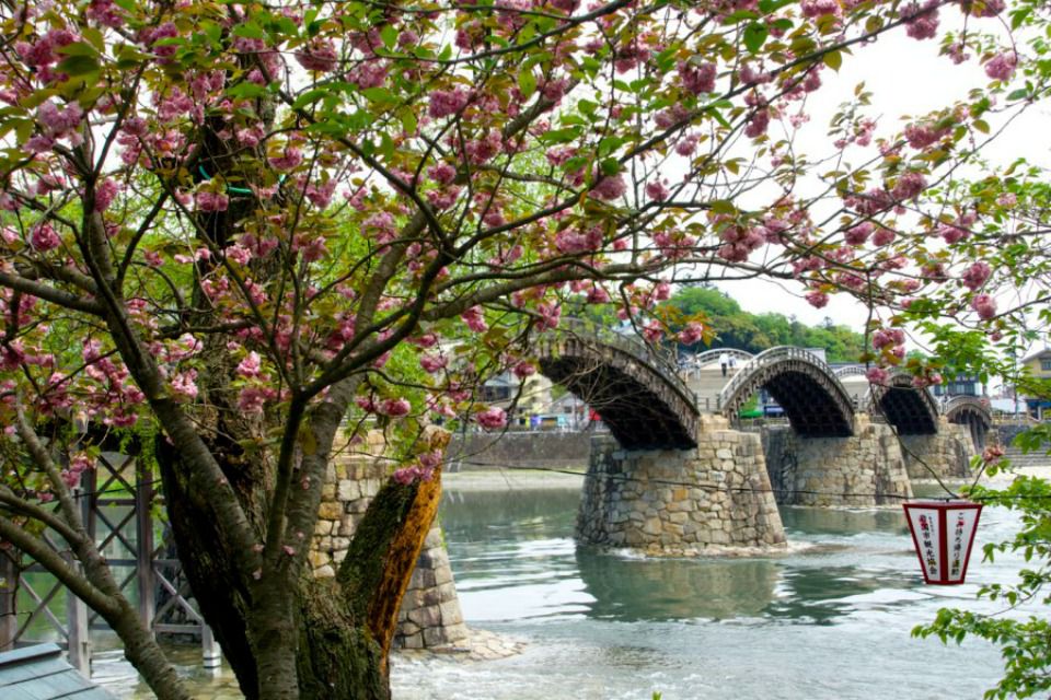 Iwakuni visual data 2