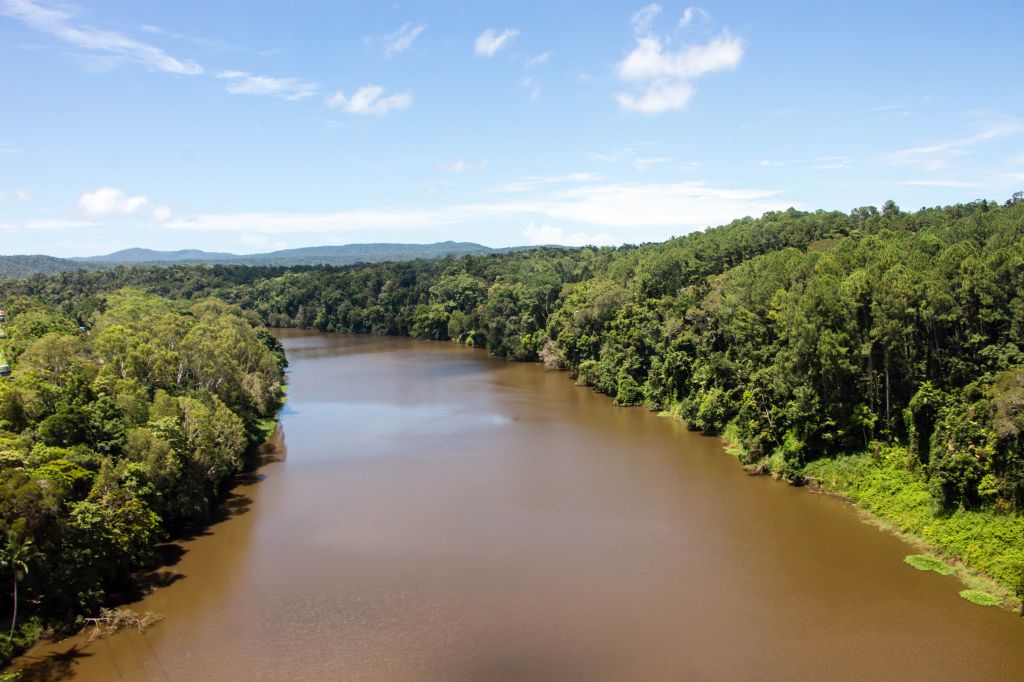 Exploring Kuranda A Must Do When Visiting Cairns, Cairns, Australia (B)
