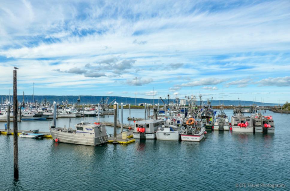 From Cooper Landing to Homer, Homer, Alaska (B)