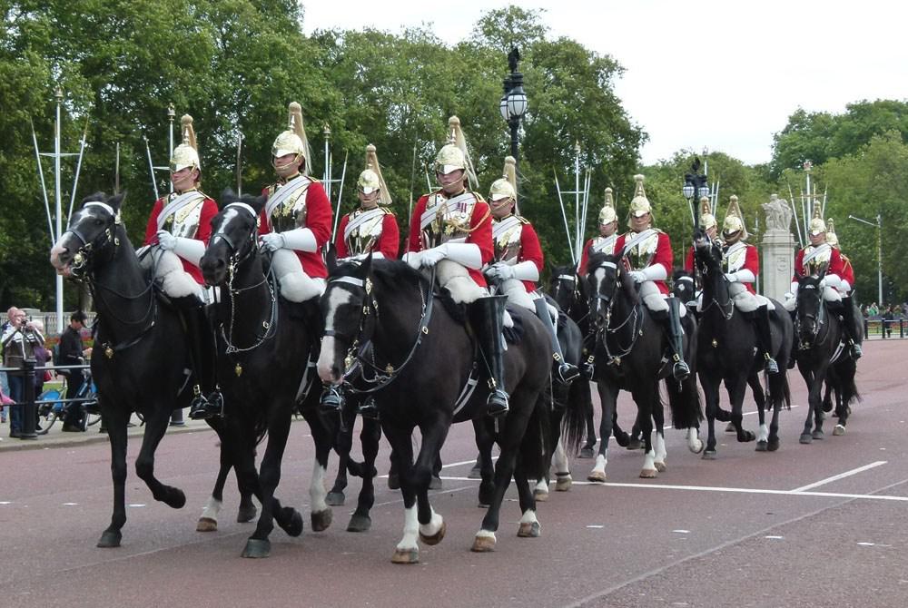 Visiting the Queens Horses at the Royal Mews, London, London, England (B)